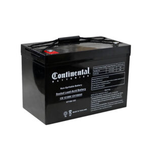 Continental 12 Volt 100 Amp SLA Battery Internal Thread (CB121000-IT)